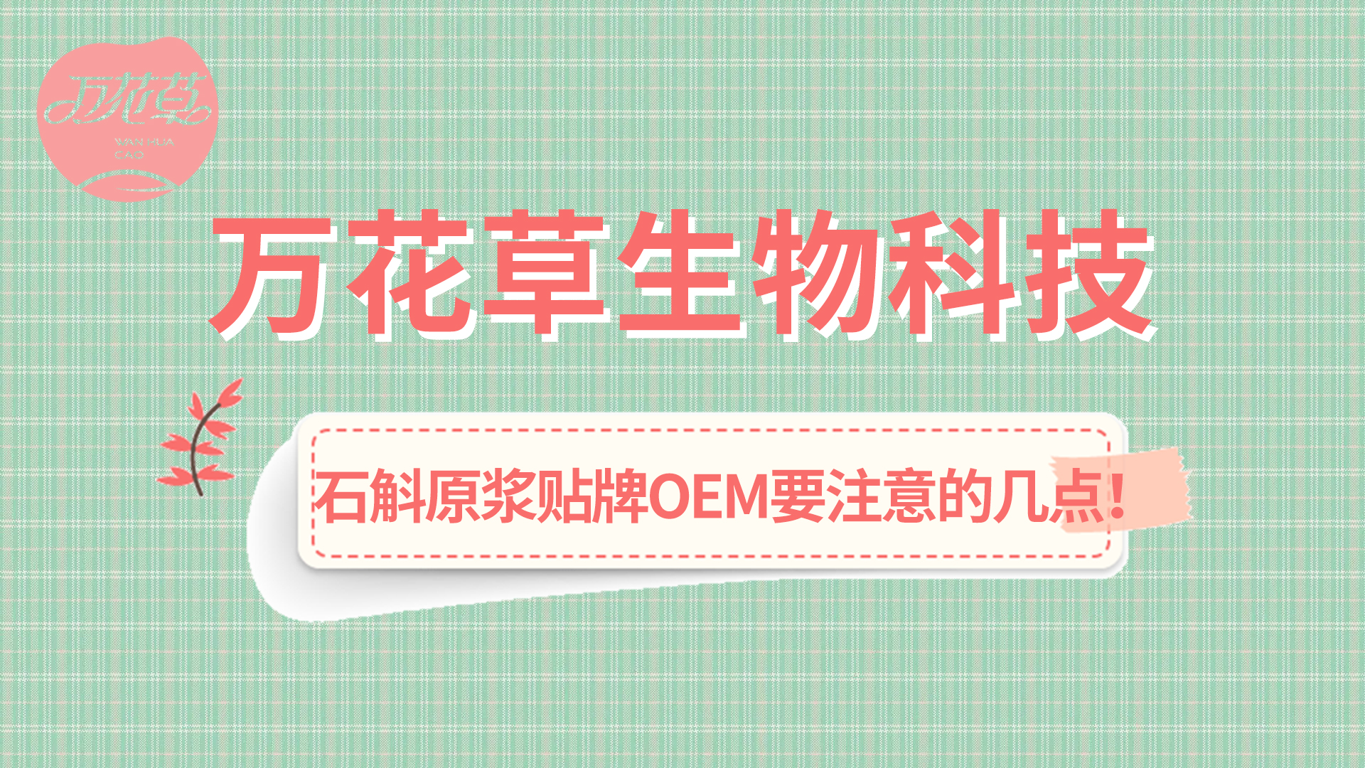 石斛原漿貼牌oem您需要注意哪幾點？